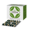 Main box and strip view of Charak Addyzoa Capsules, an Ayurvedic medicine for male sperm health and fertility.